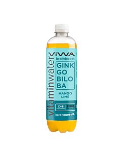 Viwa Ginkgo Biloba - Mango Lime (DPG) PET 0,6L. 12St.